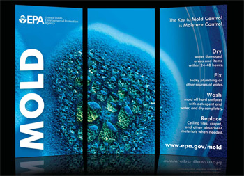 southeast rebuild collaborative