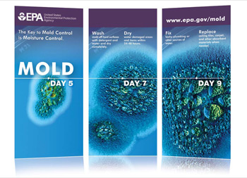 southeast rebuild collaborative